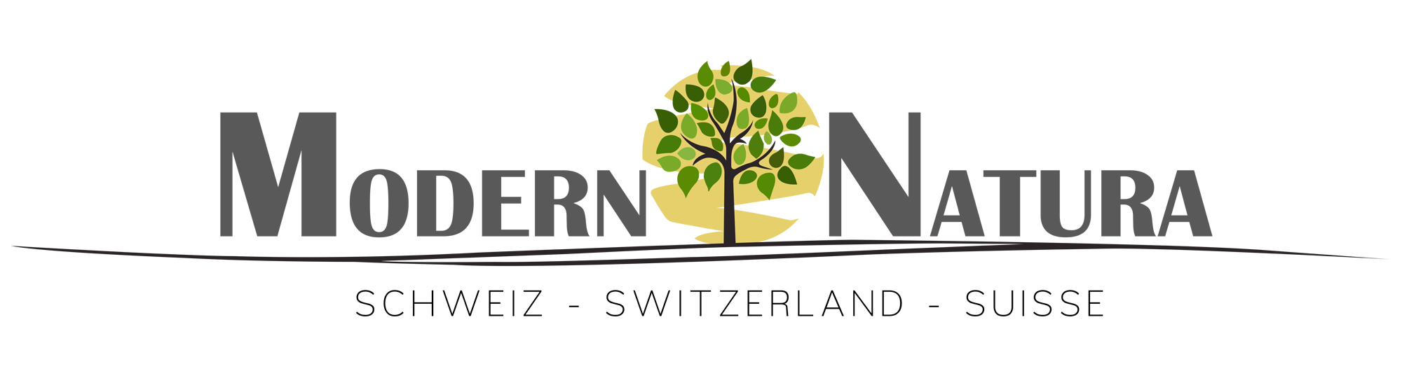 ModernSearch - Zur Startseite